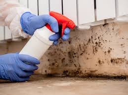 Best HVAC Mold Inspection and Cleaning  in Belton, SC